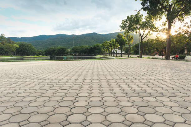Driveway Repair Near Me in Paloma Creek, TX